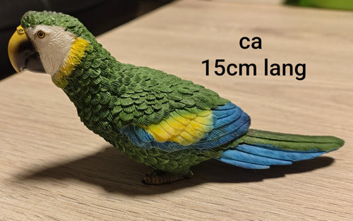 Papagei vogel sittich - vogel,