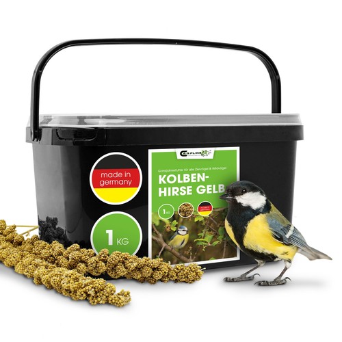 Kolbenhirse vogelfutter - 1,