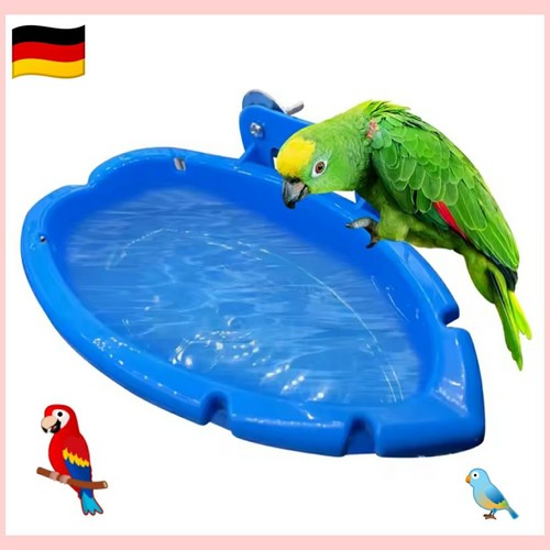 Vogelbadewanne🐦Vogel