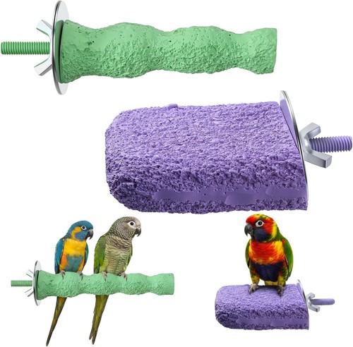 Vogel sitzstangen mit - sitzstangen,