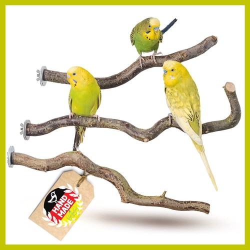 Sitzstangen für vögel - vögel, 3