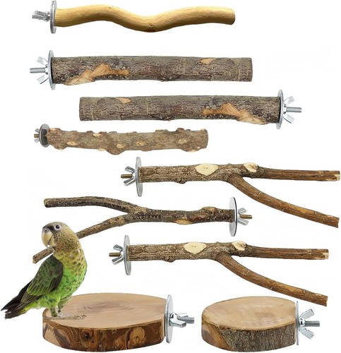 Vogelspielzeug set holz - vogelspielzeug,
