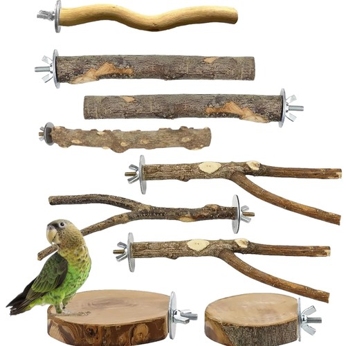 Vogelspielzeug set holz - vogelspielzeug,