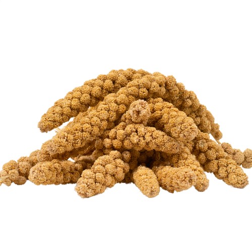 Kolbenhirse gelb - kg,