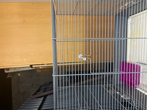 Vogelkäfig für