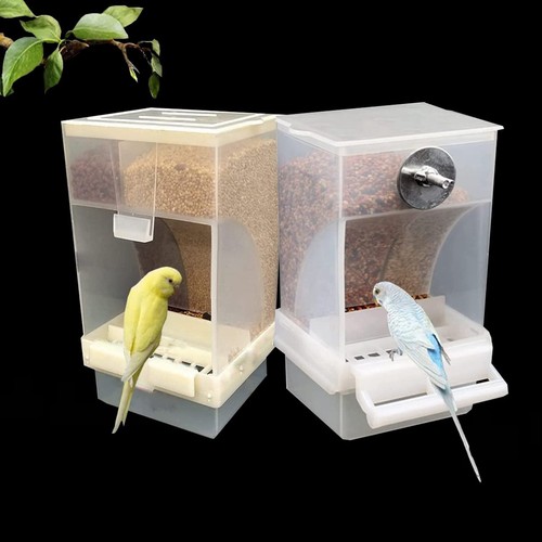 Automatischer - 🐦,