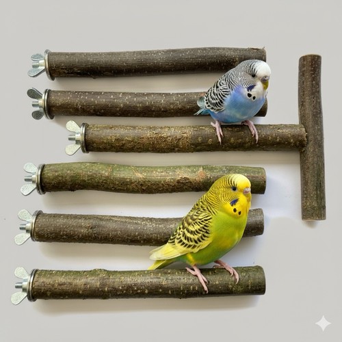 Sitzstangen für vögel - sitzstangen,